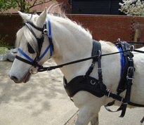 Zilco Classic single harness